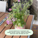 Succulent Arrangements 8-Pack