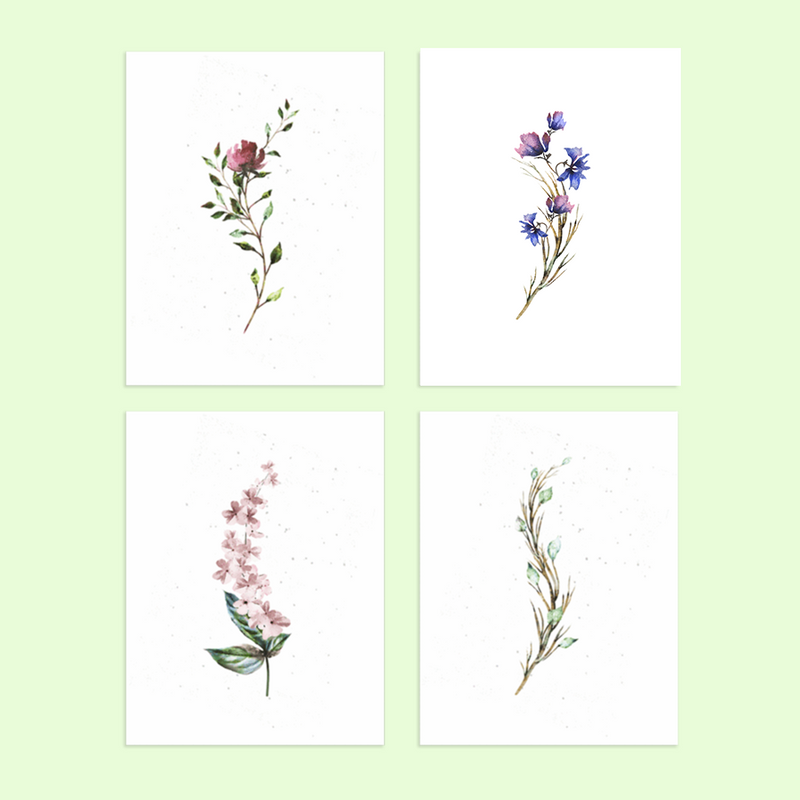 Assorted Botanical 8-Pack