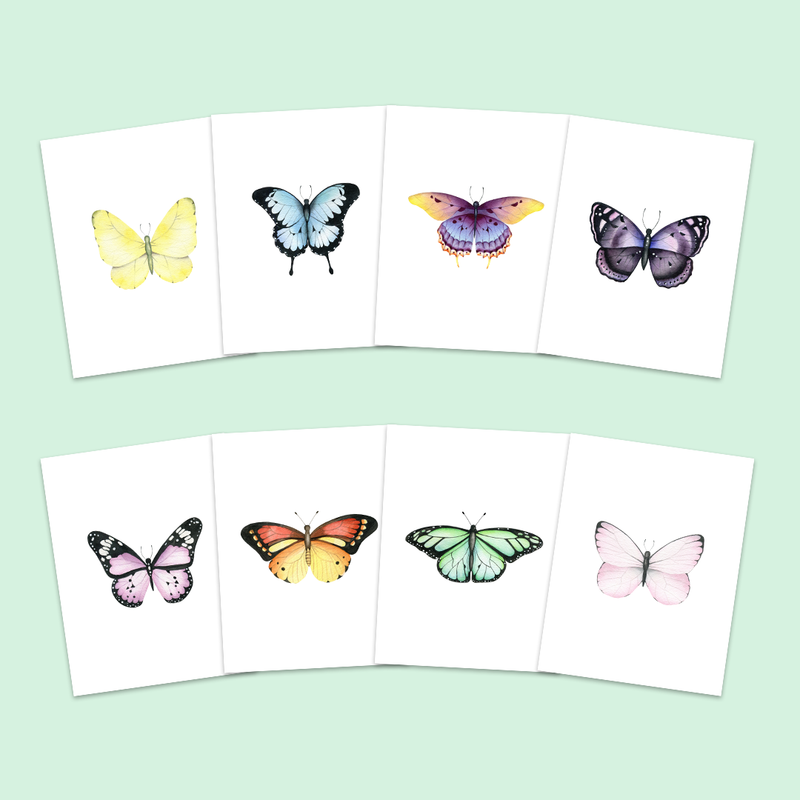 Butterfly 8 Pack