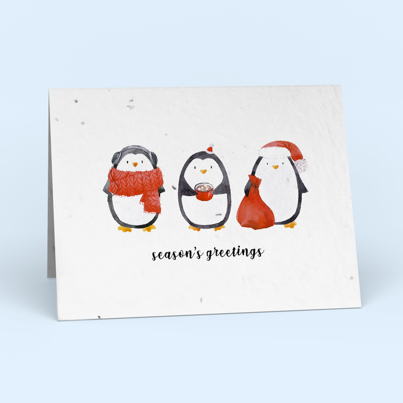 Santa's Penguins Christmas Card Pack