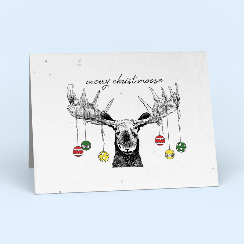 Merry Christ-Moose Christmas Card Pack