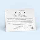 Holiday Variety 50-Pack