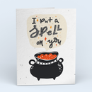 I Put A Spell On You