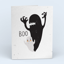 Little Ghost, Big Shadow