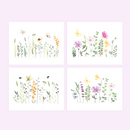 Watercolor Gardens 8-Pack